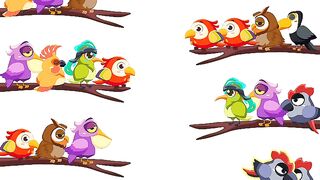 Bird sort color level 35