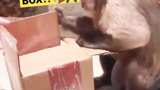 Funny mail is the greatest ????????????