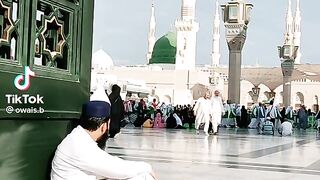 Ali hassan