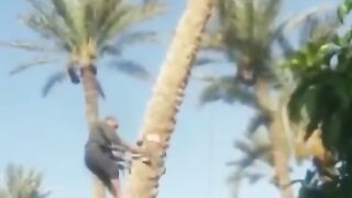 Funny Video ???? Viral my Videos# viral