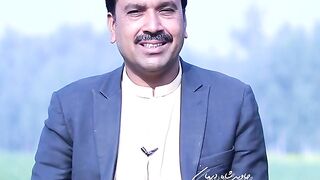 Pashto poetry