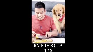 Try not to laugh ????