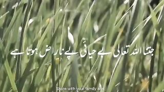 Islamic video