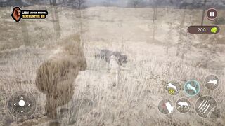 Lion Games Animal Simulator 3D