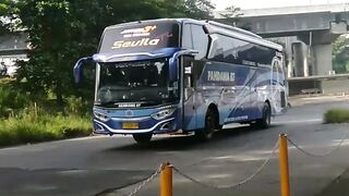 Deretan Armada dengan body Jetbus3 dari karoseri Adi Putro