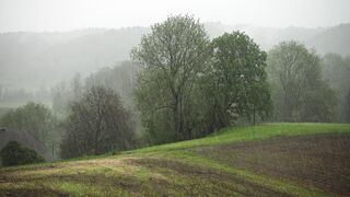 Soft raining thunder storm I white noise sound