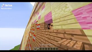 TikTok: Minecraft COMPILATION