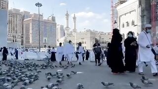 Islamic videos