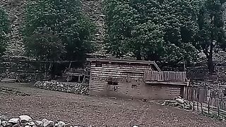 Natural beauty in Pakistan #natural