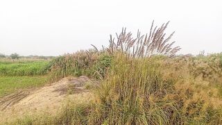 My Village Natural Beauty