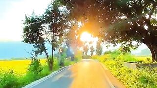 Nature beauty morning