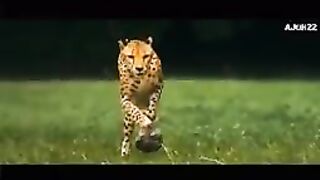 Motivated