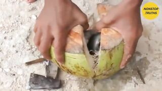 Top15 Interesting Facts About the World | 15 Amazing Facts From Around the World |Nonstop Truths