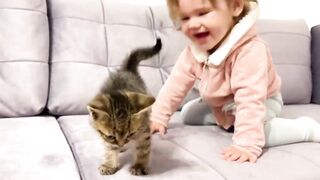 Cute Baby Meets New Baby Kitten for the First Time!