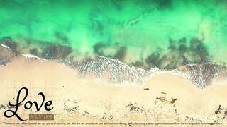 Nature beauty seashore ...