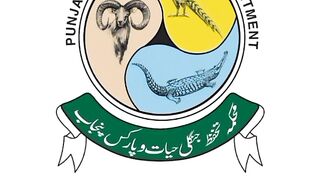 Wildlife jobs 2023|today new Jobs