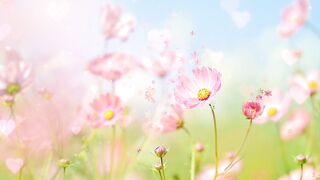 love nature. nature