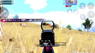 Last zone Fight rate this chicken