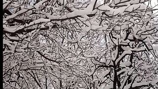 Beautiful view of Kumrat valley after the snow fall