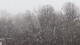 Snowfall/weather