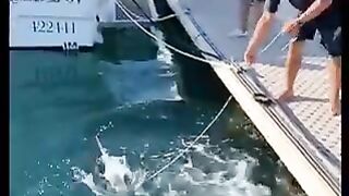 Fishing ????