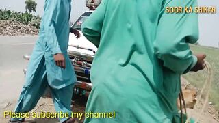 How dogs react when seeing stranger(dog hunting) Shikar