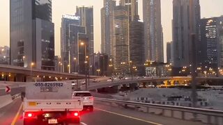 Dubia blogger