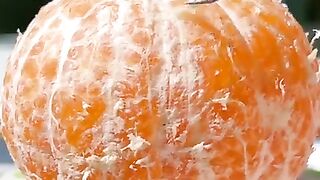 cat make orange custered