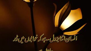 quotes in urdu//best quotes of 2023