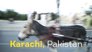 Donkey Racing In Karachi