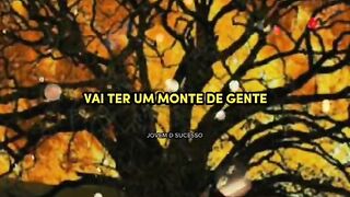 Motivaçaodiaria