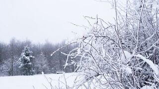 this january snow fall reach - 60 too cool
