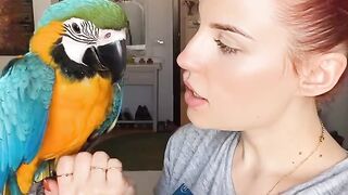 Beautiful parrot girl
