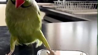 Top Viral video on Tiktok #viral #tiktok