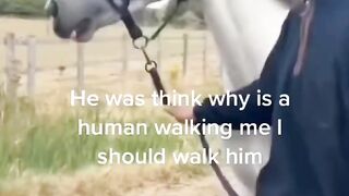 Funny video # short