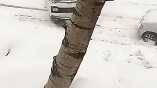 Car in snow