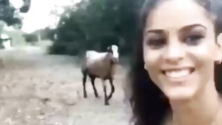 Funny video