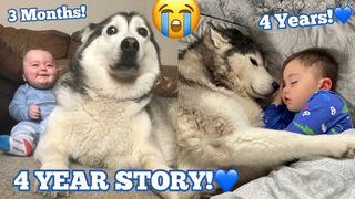 The Full 4 Year Story Of My Husky & Baby Becoming Best Friends!! [WITH MUSIC!]