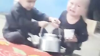 funny videos