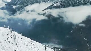 Amazing Nature