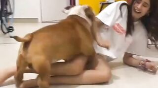 Funny Romantic Dog