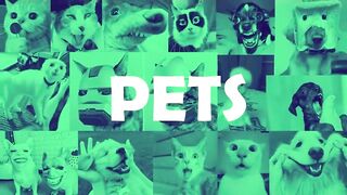 Funniest Dogs Video Ever 2022 - ???? Try Not To Laugh| Pets Town