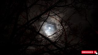 Deep Sleep | Fast Sleep | @LoFi20