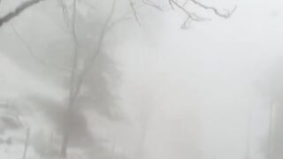 Amazing Vedio