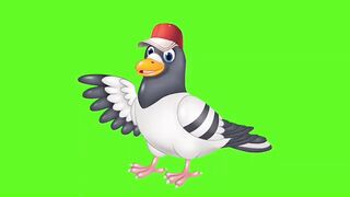 Tuni chadiya green screen