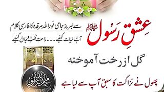 Naat e Rasool Maqbool صلی اللہ علیہ وسلم