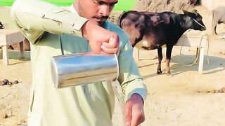 lalach buri bala hai / new moral stories