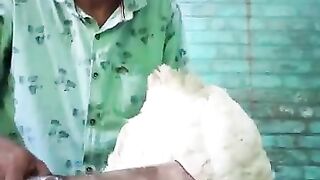 Hindu Zatka Chicken ???????? #shot
