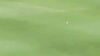 Cricket ki duniya