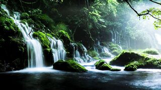 River Forest Waterfall Footage